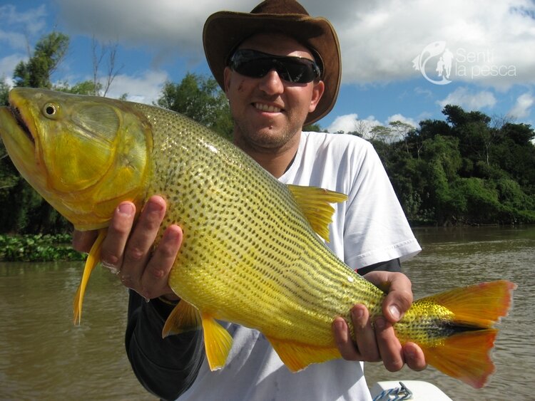Pesca Pesca