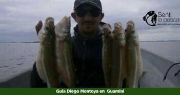 Diego Montoya en Guamini DIEGO MONTOYA en GUAMINI dest