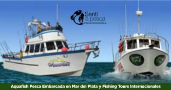 Aquafish Pesca Embarcada en MDQ y Fishing Tours