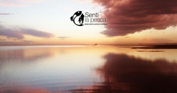 Laguna Melincué: Temporada 2019 LAGUNA MELINCUE TEMPORADA PEJERREY dest