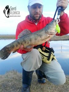 160726 HOPLIAS DE INVIERNO1