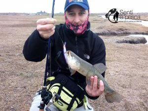 160726 HOPLIAS DE INVIERNO13