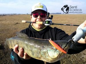 160726 HOPLIAS DE INVIERNO2