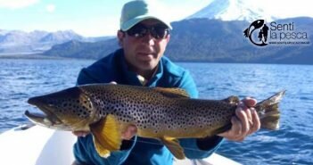 Noviembre 2016: Truchas en la Patagonia NOVIEMBRE 2016 TRUCHAS PATAGONIA dest