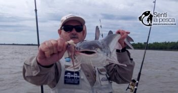 Tips para pescar Bagres de Mar en el Guazú TIPS BAGRE DE MAR GUAZU dest