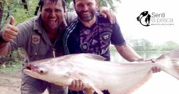 18/05/17 Bagres gatos de Tailandia 170518 PESCA EN TAILANDIA dest