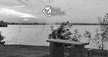 Laguna Don Santiago – Coronel Pringles, Bs. As. Laguna Don Santiago dest (2)