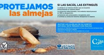 Protejamos las almejas, si las sacas las extinguís protejamos la almeja dest