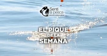11/08/17 El Pique de la Semana PIQUE DE LA SEMANA dest050