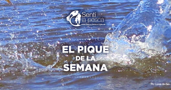 18/08/17 El Pique de la Semana PIQUE SEMANA dest070