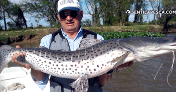 20/09/17 A preparar los artificiales para la pesca en Reconquista 170920 PIQUE EN RECONQUISTA dest