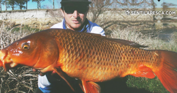 Carpafishing, consejos para pescarlas y hacer la masa CARPAFISHING CONSEJOS dest