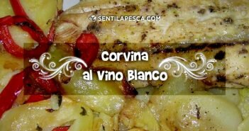 Corvina al vino blanco CORVINA AL VINO BLANCO dest