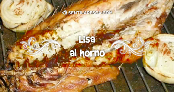 Lisa al horno LISAS AL HORNO dest
