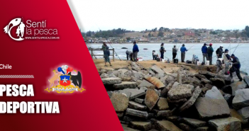 Chile: Licencia y Reglamento de Pesca Deportiva PESCA DEPORTIVA EN CHILE dest