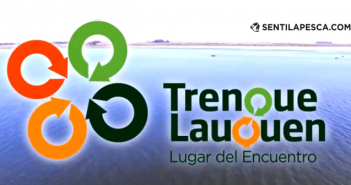 Lagunas de Trenque Lauquen: Pesca, Descanso y Turismo lagunas trenque lauquen senti la pesca dest