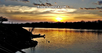 Salvemos el río, solo deténganse unos minutos solo basta con mirar el rio dest