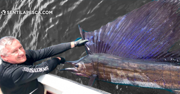 17/05/18 Fishing Tour Colombia con Aquafish 180517 FISHING TOUR COLOMBIA AQUAFISH DESTA