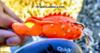 Hoplias Lures: Testeo Nuevo Modelo Dragón HOPLIAS LURES TESTEO DRAGON dest