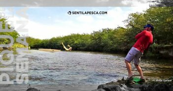 20/07/18 El Pique de la Semana PIQUE DE LA SEMANA dest494