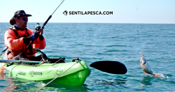 06/08/17 Kayakfishing por el Marquesado 180806 KAYAKFISHING EN MDQ dest