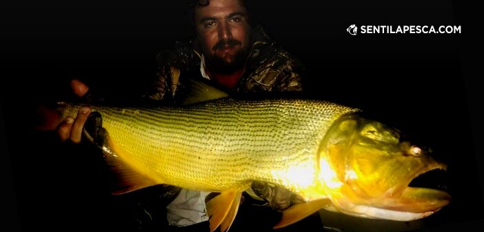 03/04/19 Aventuras desde río Ibicuy hasta el Gualeguay 190403 SURUS Y DORADOS dest